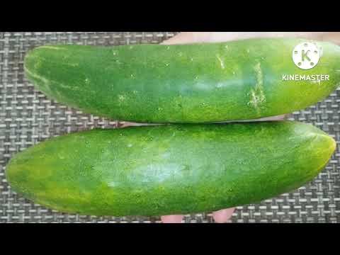 Вот что я делаю с ПЕРЕЗРЕВШИМИ ОГУРЦАМИ. смотреть онлайн