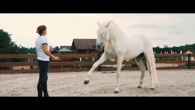 Усадьба "Фамилия" конный клуб смотреть онлайн