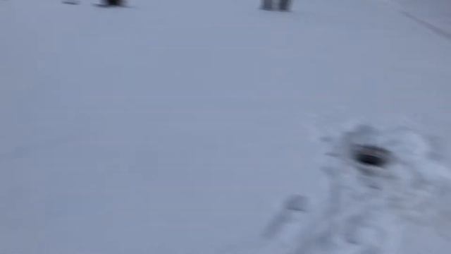 Самодельная мотособака ,первый выезд на рыбалку 9 л.с. смотреть онлайн