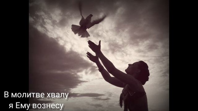Люди - не птицы смотреть онлайн