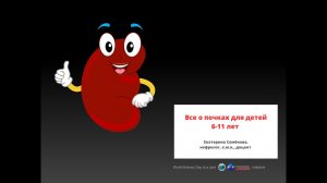 Все о почках для детей 6-11 лет