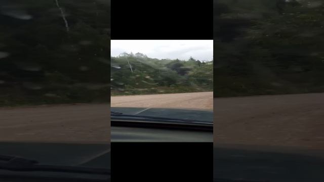 Дорога в 50 км до пчёл смотреть онлайн