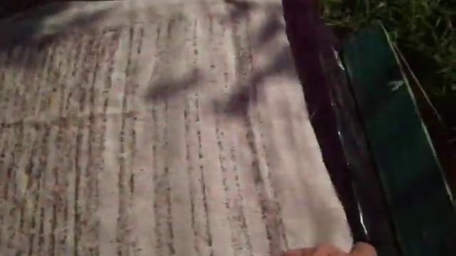 Пчеловодство. Осенняя ревизия с сюрпризом.