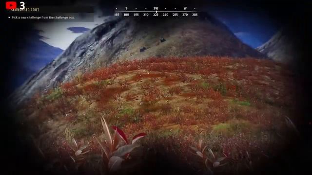 ?LIVE? TAKING A LOOK AT AURORA SHORES | Way of the Hunter смотреть онлайн