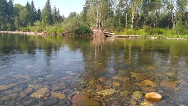 Река Верхняя Терсь. смотреть онлайн