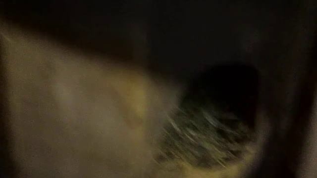 Маточник для Кроликов своими руками // Маточник Домик для Кроликов !!! смотреть онлайн