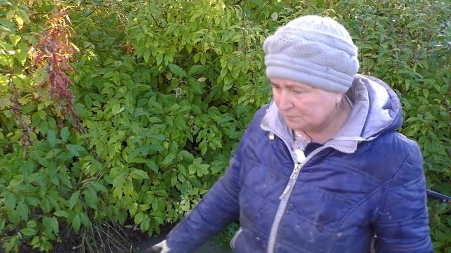 Ноги закачались, от самой дешевой и простой деревенской печи смотреть онлайн