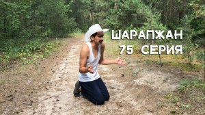 Шарапжан / Алны-артны карап йөрегез! Уңышлы эш атналары сезгә)