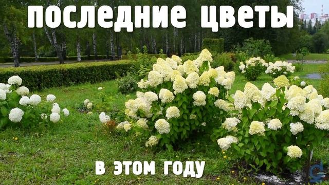 Научный видеоблог ПОД СТЕКЛОМ - выпуск 6 смотреть онлайн