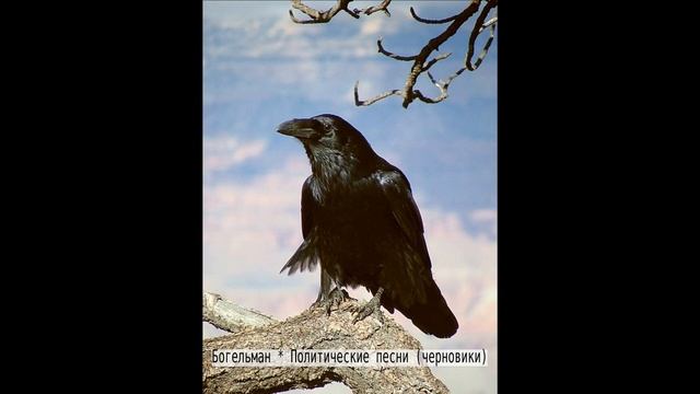 Богельман * Политические песни (черновики) смотреть онлайн