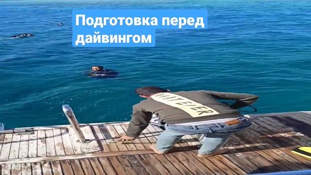 Мое первое погружение в Красном море смотреть онлайн