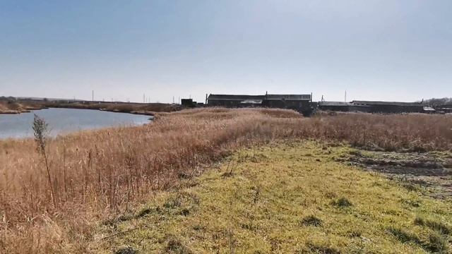 Вспашка оборотным плугом, трактором МтЗ 1523 как пахать оборотным плугом ? смотреть онлайн