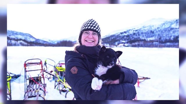 Dog sledding tour in Alta, Norway смотреть онлайн