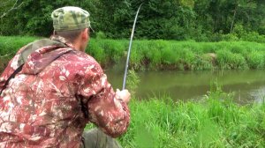 Рыбалка с хорошим уловом на малой речке летом, 7 сер