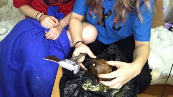 Впервые пробуем кокос/ обзор на кокос/ РЖАЧ