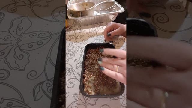 как посадить кинзу на микрозелень смотреть онлайн