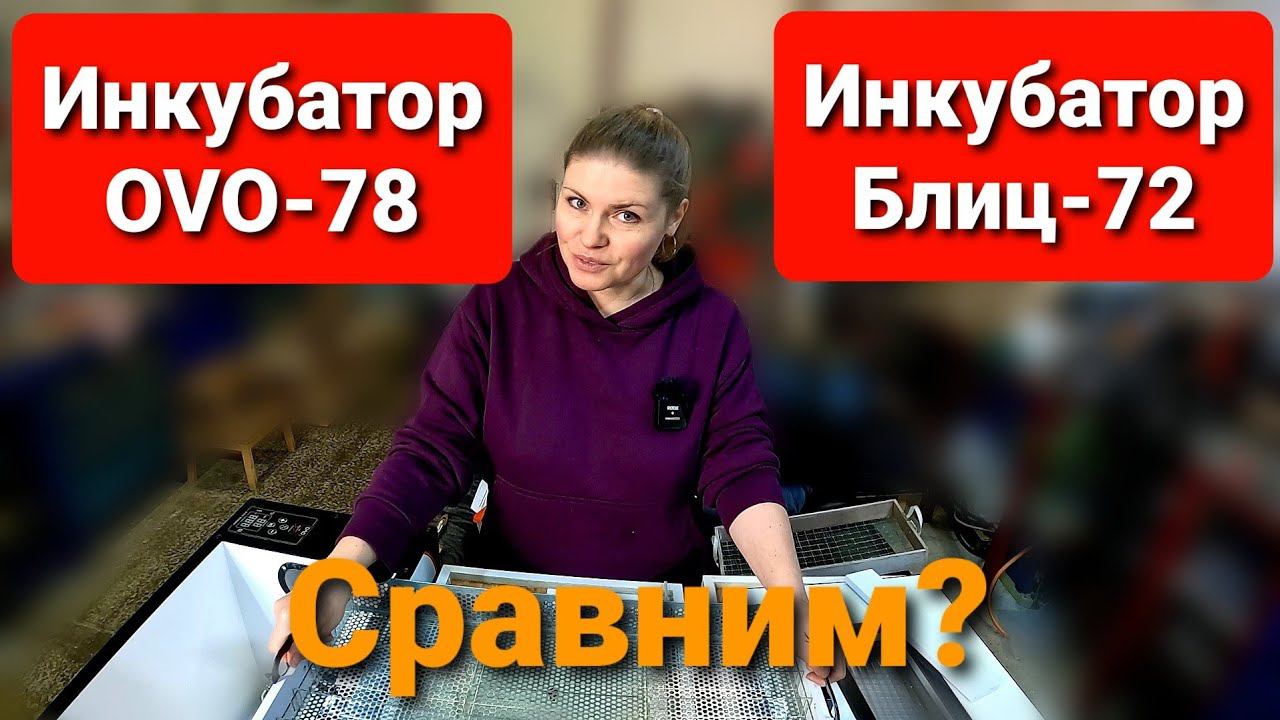 Какой ИНКУБАТОР выбрать OVO или БЛИЦ? Обзор инкубатора OVO-78. смотреть онлайн