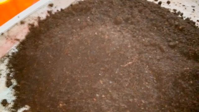 ПАН12. Каким должен быть сырец биогумуса - вермикомпоста