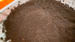 ПАН12. Каким должен быть сырец биогумуса - вермикомпоста