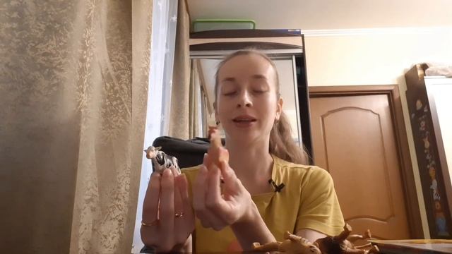 Визуальные Символы: Рисование и Творческая Илюстрация