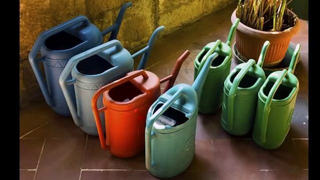 ГОРТЕНЗИИ. Главные ошибки цветоводов. смотреть онлайн