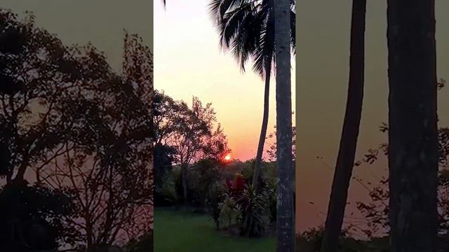 Шри Ланка без забот яркие краски сказочного острова! #отдых #путешествия #2024 #travel #туризм смотреть онлайн