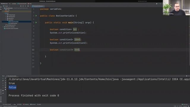 10. Java boolean variable смотреть онлайн