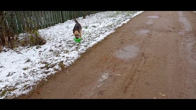 ТренаЖОР. смотреть онлайн