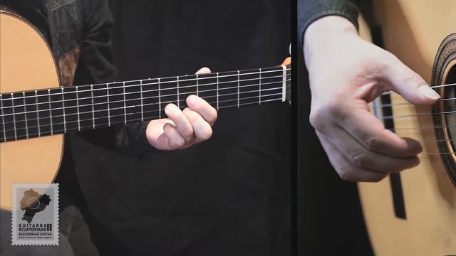 CARNAVAL DE GUARANDA 🥇 GUITARRA ECUATORIANA 🥇MÚSICA INSTRUMENTAL ECUATORIANA смотреть онлайн