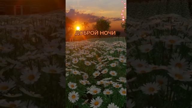 Спокойной Ночи Сладких Снов смотреть онлайн