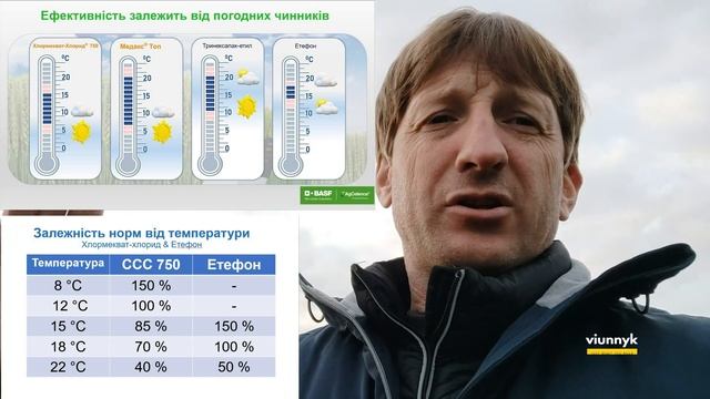 майже Все про рістегуляцію зернових або Рострегулятори, як вони Є! смотреть онлайн