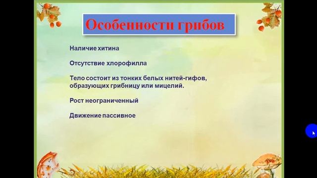 Особенности строения грибов смотреть онлайн