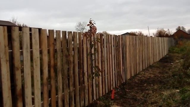 Монтаж деревянного забора ч. 2 смотреть онлайн