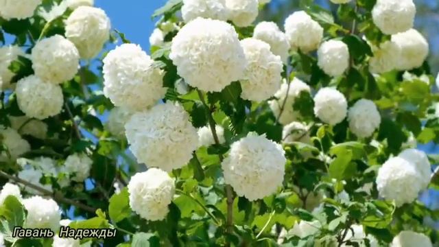 Девушки только обсуждали, так ничего и не сделали... Аудиорассказ смотреть онлайн