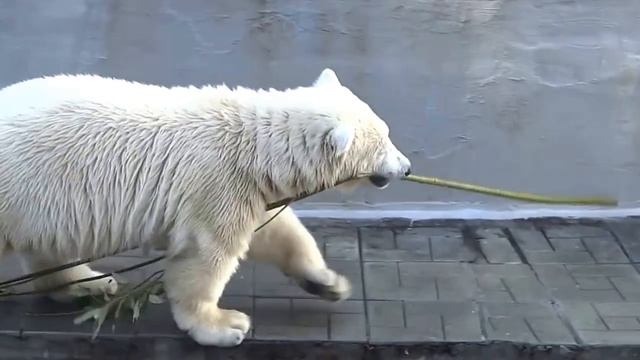 А для нас вкусный заказ - сейчас Наташа нам отдаст. А у вас?
