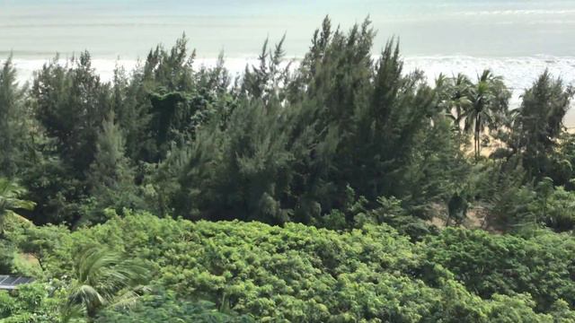 TIMTON KANGDA HOTEL in DAYTIME SANYA, HAINAN CHINA смотреть онлайн