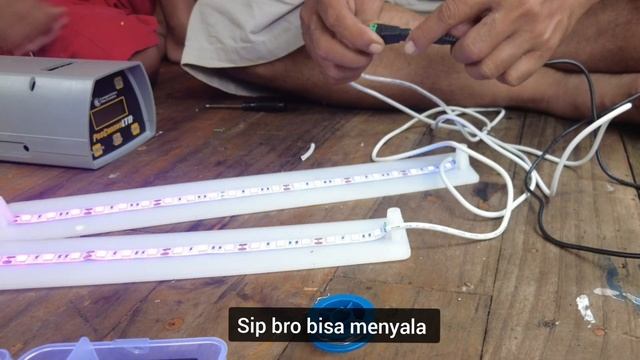 Ultraviolet Led strip, ProChrono.Ltd Bisa Indoor / outdoor siang malam смотреть онлайн