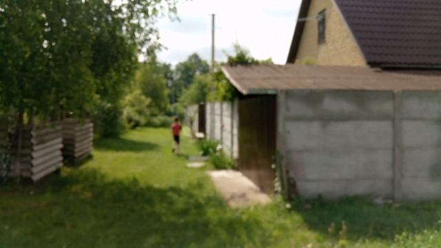 Гнезда птиц. Наблюдения за птенцами. Нашли три гнезда с птенцами смотреть онлайн