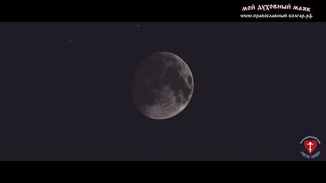 Соборное чтение Псалтири. Псалом 4. Часть 5. смотреть онлайн