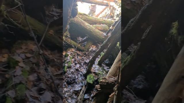 Развиваем геологический туризм в регионе. Чупа, Карелия. смотреть онлайн