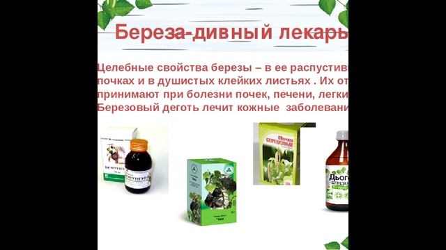 ДЕШЁВЫЙ, НО БЕСЦЕННЫЙ БЕРЁЗОВЫЙ ДЁГОТЬ!!!!! смотреть онлайн