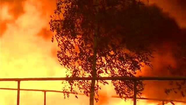 Лесные пожары 2010 года смотреть онлайн