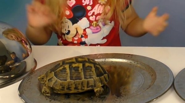 Обычная Еда против Мармелада Челлендж РОМА ПЛАЧЕТ! Real Food vs Gummy Food Candy Challenge Bad Baby