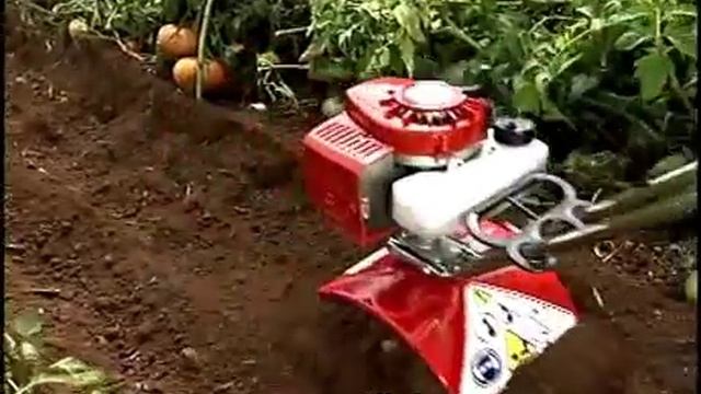 Культиватор Mantis