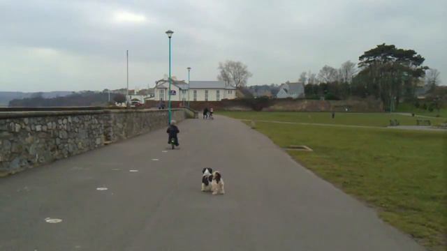 Crash Landing, Kid on Bike in paignton смотреть онлайн