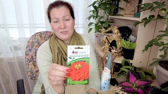 ЦВЕТОЧНЫЙ КОВЕР КАК В СКАЗКЕ | Лучшие сорта цинний в одном видео! смотреть онлайн