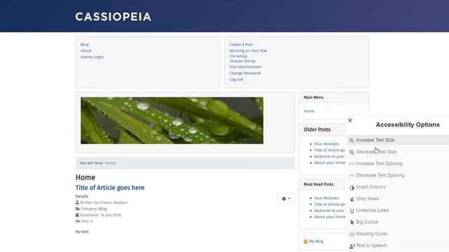 Joomla 4 Accessibility - How to Enable Accessibility Feature in Joomla? смотреть онлайн