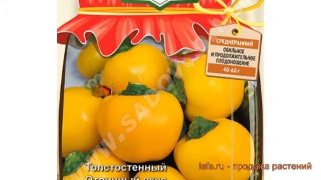 Перец сладкий Янтарный (yantarnyy) ? сладкий перец Янтарный обзор: как сажать, семена перца Янтарны смотреть онлайн