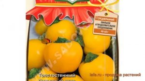 Перец сладкий Янтарный (yantarnyy) ? сладкий перец Янтарный обзор: как сажать, семена перца Янтарны