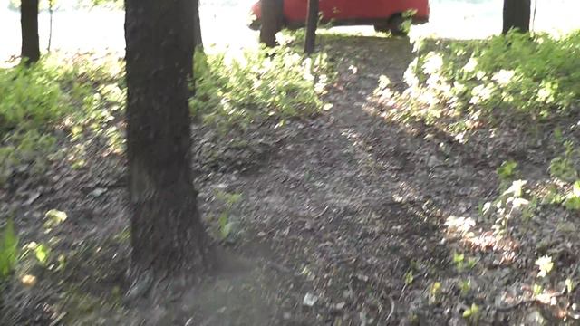 Шашлык в посадке 05.05.2015 г. с гостями из Москвы смотреть онлайн